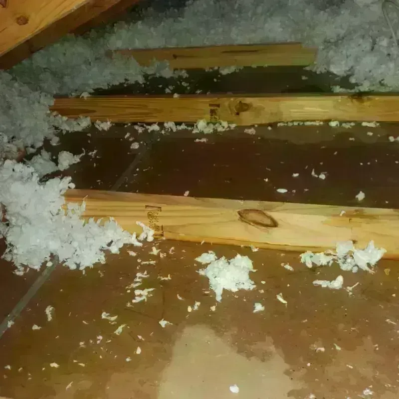 Attic Water Damage in North Yelm, WA