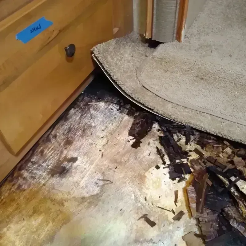 Best Wood Floor Water Damage Service in North Yelm, WA